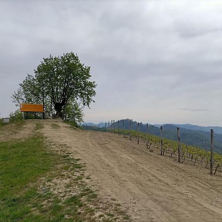 Monferrato Bed&Bike Hotell Murisengo Eksteriør bilde