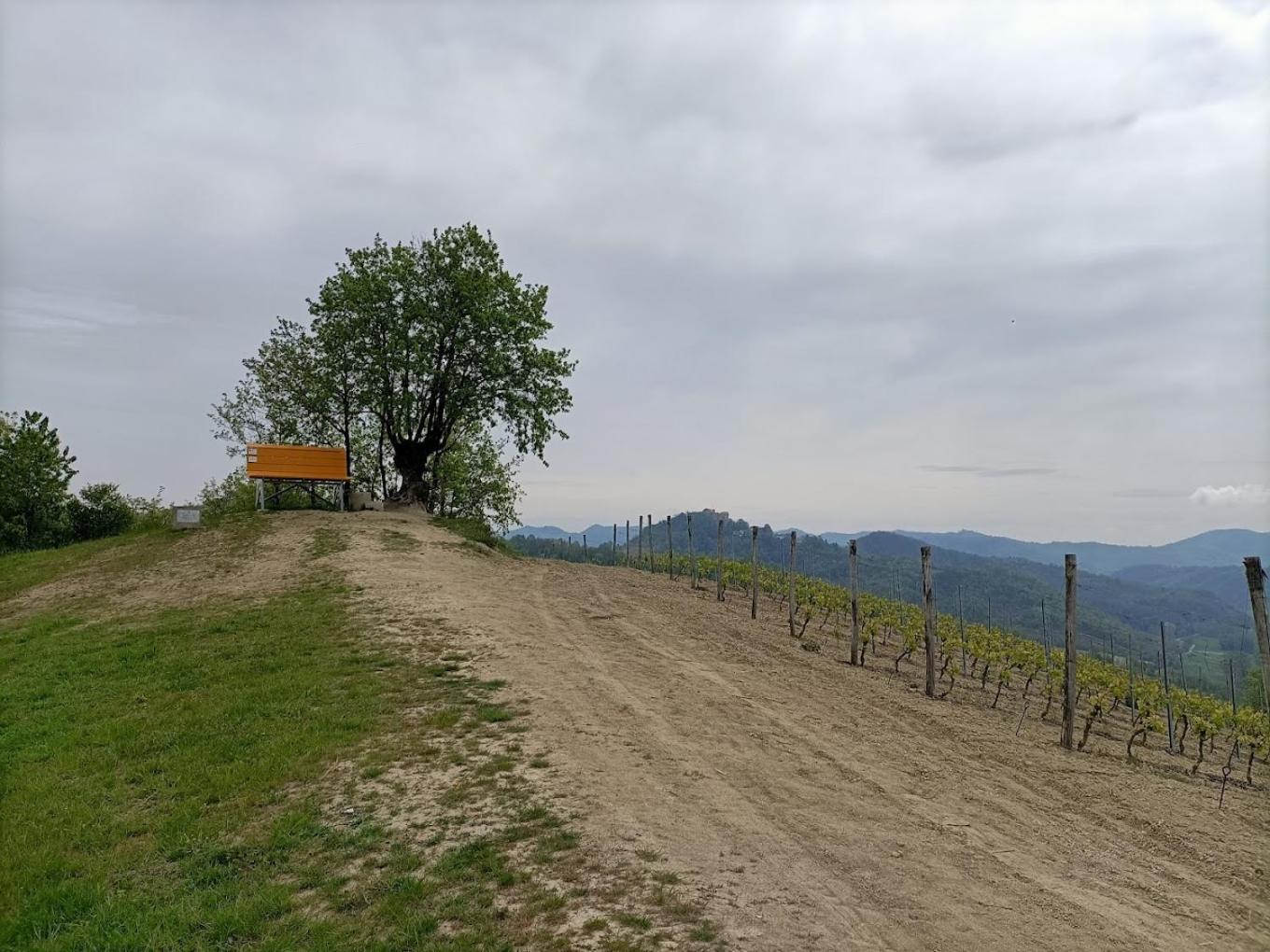 Monferrato Bed&Bike Hotell Murisengo Eksteriør bilde